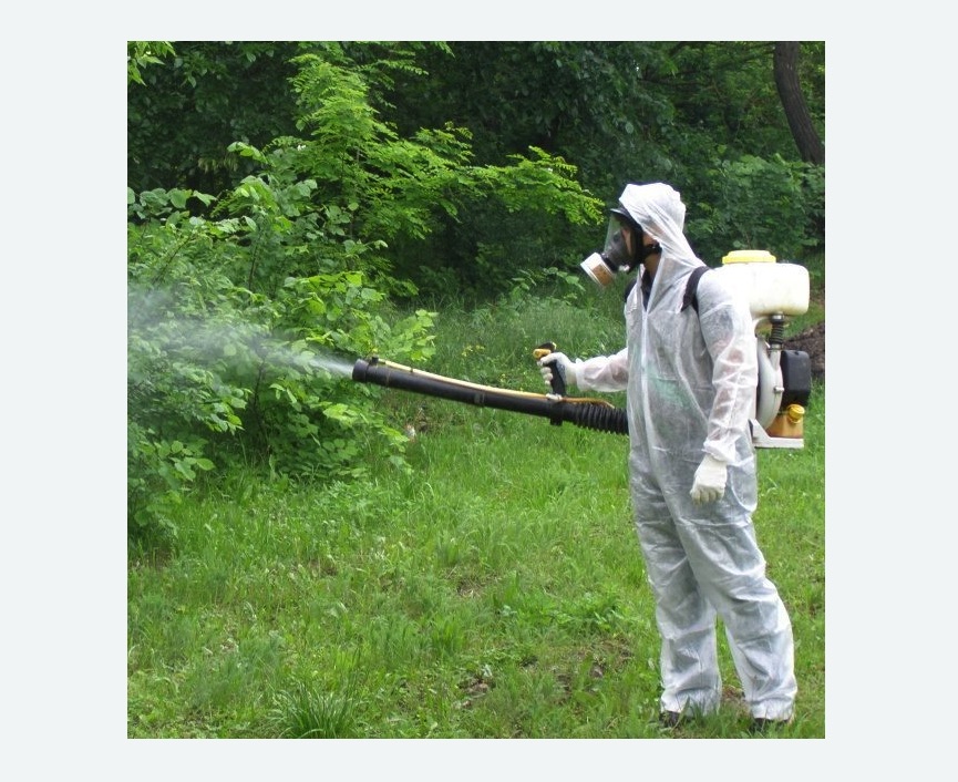 обработка территории от клещей в Чкаловске