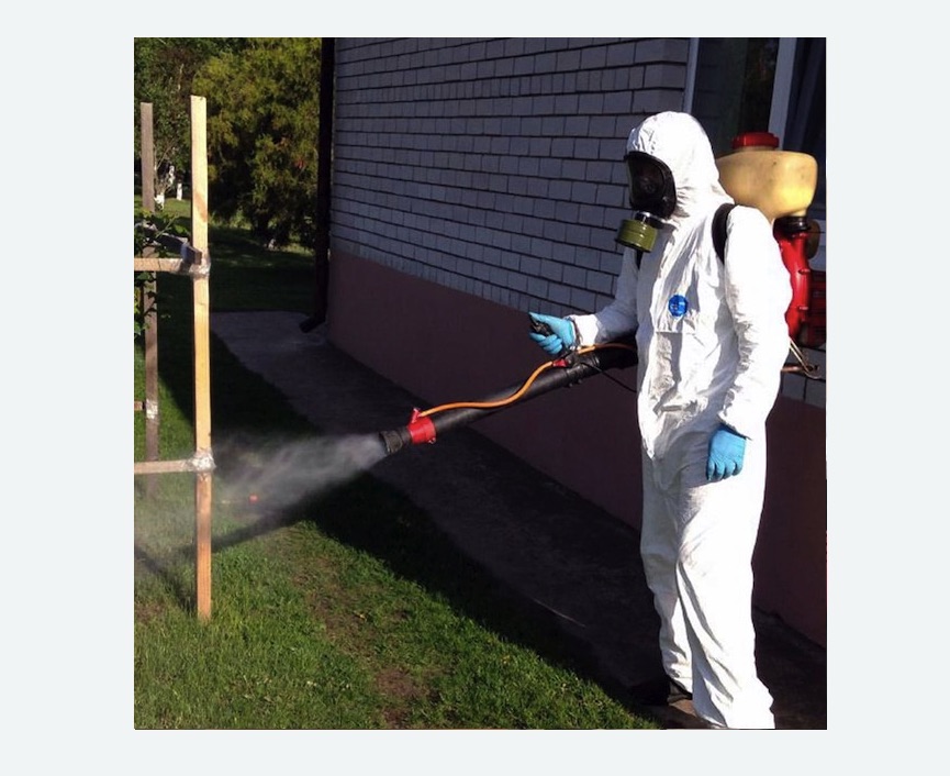 травля клещей на участке в Чкаловске