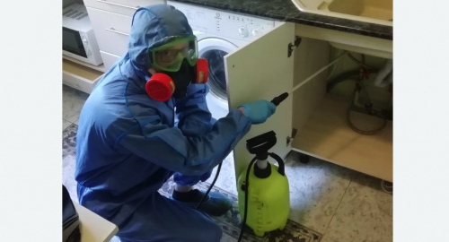 Уничтожение муравьев в квартире. Чкаловск