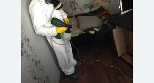 Обработка квартир от насекомых в Чкаловске