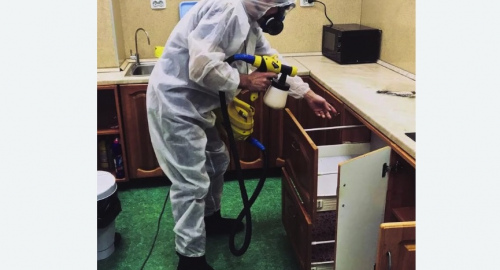 Дезинсекция квартиры. Чкаловск