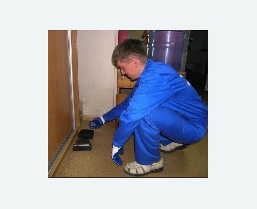 Дератизация крыс в Чкаловске