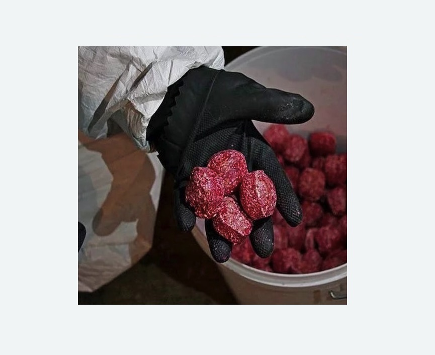 Обработка от крыс в Чкаловске