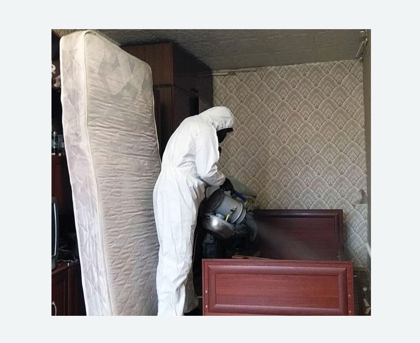 дезинфекция от клопов в Чкаловске