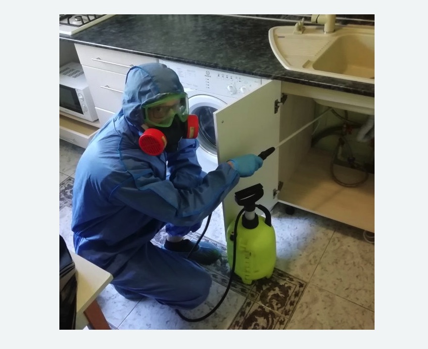 обработка от муравьев в квартире в Чкаловске