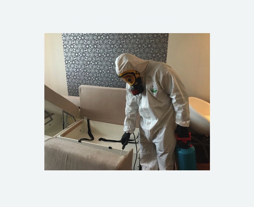 уничтожение клопов в квартире в Чкаловске