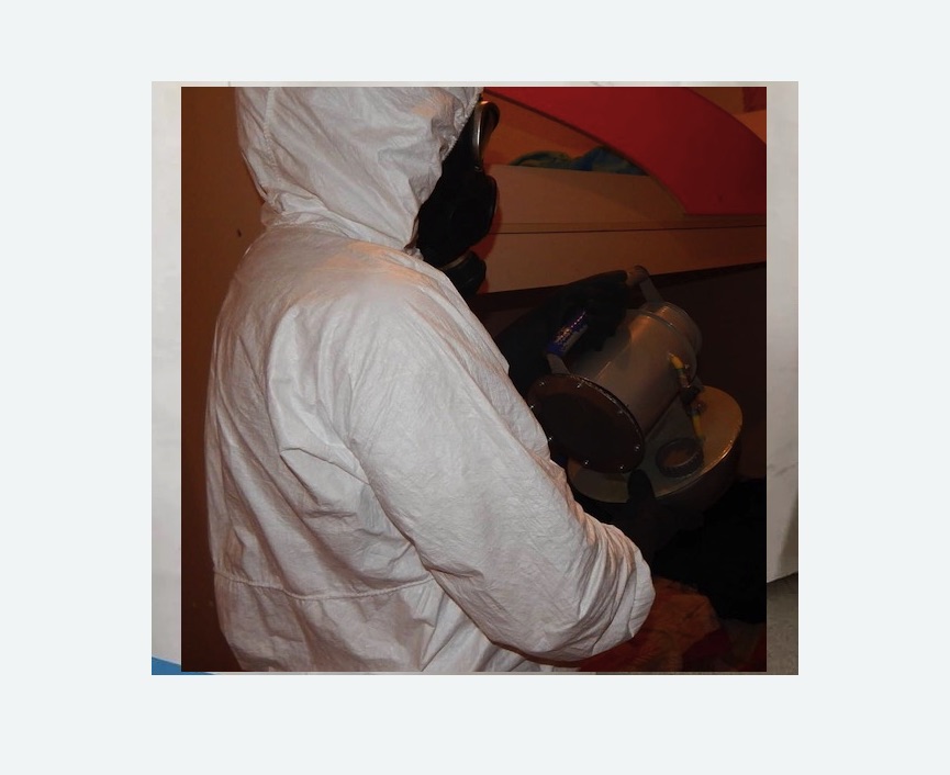 Дезинфекция от муравьев в Чкаловске