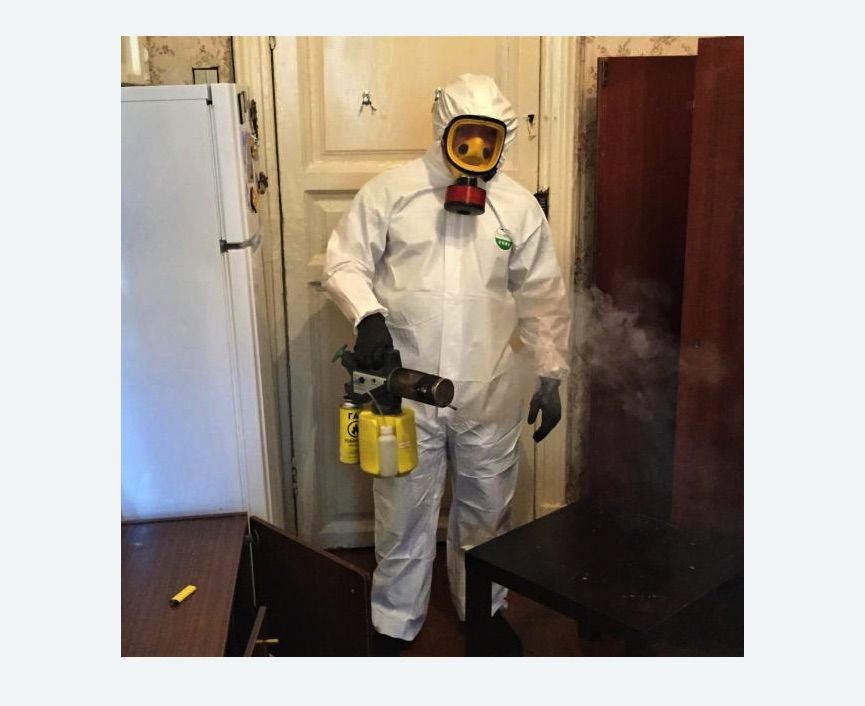 уничтожение муравьев в квартире в Чкаловске